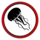MeduzaSkillz
